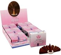NALE. Satya Conos de Incienso Fresh Rose, Aroma a Rosa Fresca, 12 Paquetes x 10 Conos, Total 120 Conos