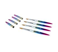 Naroote Juego de Pinceles para Decoración de Uñas, Ergonómico, Pelo Suave, Flexible, para Proyectos de Pintura y Arte de Uñas, Tubo de Aluminio, 4 Uds.