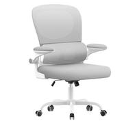 naspaluro Silla de Oficina Ergonómica con Soporte Lumbar, Silla Ergonomica Escritorio Respaldo con y Altura Ajustables, Reposabrazos Abatible, Silla Ergonomica Escritorio Soporte 110kg, Gris