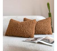 Neelvin Juego de 2 Fundas de Cojín Bou e Imitación Piel de Cordero, Fundas Cojines Decorativas Mullidas de Borreguito con Pelo Rizado para Sofá y Cama, Estilo Nórdico Acogedor(30x50cm)