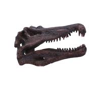 Nemesis Now Estatua de calavera de dinosaurio, regalos y decoración para entusiastas de la paleontología y coleccionistas, resina pintada a mano, fósil de dinosaurio - Spinosaurus