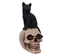 Nemesis Now Familiar Fate - Figura de Gato y Calavera (24,3 cm), diseño de Brujas Negras