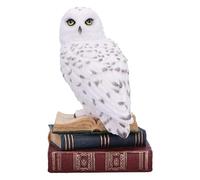 Nemesis Now Figura de la Biblioteca de la Sabiduría de 17 cm, Resina, Blanco, búho Blanco sobre Libros, Pieza de exhibición de Libros de fantasía, fundida en la Mejor Resina, Pintada a Mano por