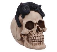 Nemesis Now Forever Friend - Gato sobre calavera de 14,5 cm, resina, negro/hueso, adorno de gato tumbado en calavera, decoración gótica de gato, fundido en la mejor resina, pintado a mano por expertos