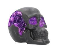 Nemesis Now Geode Skull - Figura Decorativa (Resina, 17 cm), Color Negro y Morado