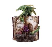 Nemesis Now Hoard Finders - Figura de dragón con Libro de Cristal, Verde, 20,8 cm