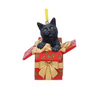 Nemesis Now Present Cat Sin clasificar Bolas Standard Plastico