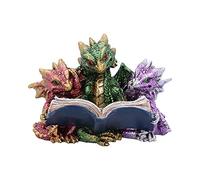 Nemesis Now Tales of Fire - Figura de dragón (poliresina, Multicolor, Talla única)