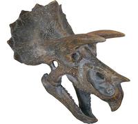 Nemesis Now Triceratops Head - Placa de Pared (23 cm), Color marrón