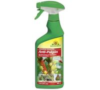 Neudorff Insecticida Natural RTU Anti-Pulgón - Spray listo para usar para el control de pulgones negros, pilgones amarillos y pulgones verdes, 500 ml