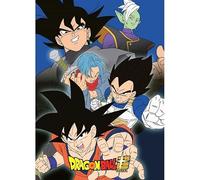 NEW IMPORT Manta Polar 100x140cm de Dragon Ball, 018DBS-PL