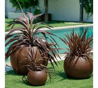 newgarden - Macetero Redondo para Flores y Plantas Dalia Muy Resistente al Exterior Tamaños Disponibles. Incluye Reserva y Drenaje de Agua. Hecho de Polietileno en España