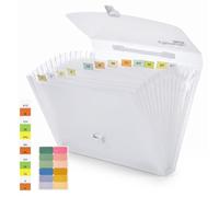 NEWYES Carpeta expandible para archivos, 13 bolsillos, A4, organizador de | Bolsa de documentos de polipropileno de tapa dura con 13 pestañas de asunto, cierre de hebilla seguro y asas. Se adapta a