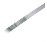 NINMORTH Tira de moldura de acero inoxidable cepillado de 50 mm x 5 m, pelar y moldear para decoración de azulejos, espejo de techo, ventana, color plateado
