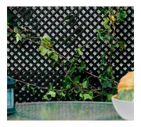 Nortene | Celosia Pvc 18mm 1x2 Antracita Nortene | Decoración Para Terraza Y Jardín | Ideal Para Ambientes Elegantes | Diseño Decorativo Dark Grey 0.8 x 1.15m