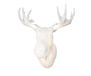 Northern Aplique pared Moo blanco