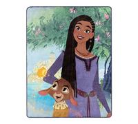 Northwest Disney Wish - Manta de Tacto de Seda, 46 x 60 Pulgadas, Amistad