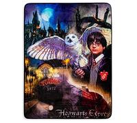 Northwest Manta Sherpa Silk Touch, poliéster, Montaje mágico de Harry Potter, 60 x 80 Pulgadas