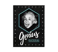Nostalgic-Art Imán Retro para Nevera de Einstein - Genius Material - Idea de Regalo para Estudiantes, de Metal, diseño Vintage, 6 x 8 cm