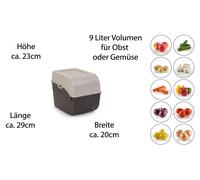 Novaliv, 2 unidades, grandes, cajas de 9 litros, color perla, para verduras, patatas, almacenamiento, recipiente para alimentos, contenedor para frutas, frutero