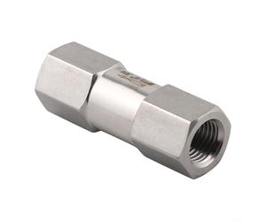 NPT Válvula de retención de 1/2 pulgada para tuberías de petróleo y gas | Acero inoxidable 304, resistente a la corrosión, 1/4 pulgada NPT, prevención de reflujo, para construcción robusta
