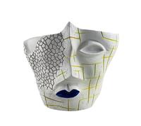 Nuyhgtr Versátil Human Face Jarrone, maceta única, maceta de flores, Sturdy Face Planter, 13,4 x 11,3 x 12 cm, 5,28 x 4,45 x 4,72 pulgadas para jardín interior y decoración de la casa, resina