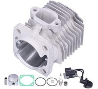 OmGoods - Dailygoody - Kit de cilindro - Kit de alta calidad para Mini - Aluminio y goma - Cilindro y pistón de 44 mm - Compatible con motores de 2 tiempos de 43cc, 47cc y 49cc - Color: [la descripció