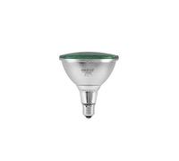 Omnilux - Par-38 230v smd 15w e-27 led verde