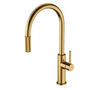 OMNIRES Switch - Grifo para lavabo con extremo extraíble y función de filtro, oro cepillado SW9059GLB