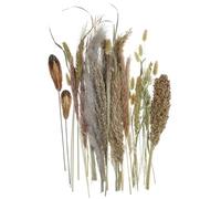 Operitacx Ramo Decorativo de Hierba Pampa Esponjosa y Caña de Sorgo para Decoración Natural de Mesa en Comedor Estilo Rústico 1 Manojo