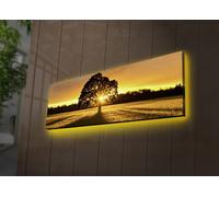 Opviq, modelo 3090DACT-LED3266, color Bunt, imágenes en lienzo, dimensiones 30 x 90 cm, 100% lona de ante