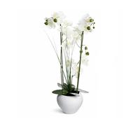 Orquídea artificial (Phalaenopsis) 53 cm con maceta de cerámica blanca - flores blancas realistas & hojas verdes - planta artificial de fácil mantenimiento para salón, dormitorio, cocina - Blanco