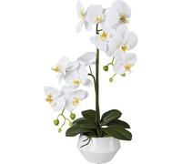 Orquídea Phalaenopsis artificial, tacto real maceta de cerámica