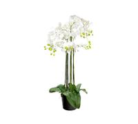 Orquídeas flor maceta artificial 106 cm. jumbo diámetro 22 cm.