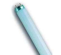 Osram 865 - Lámparas fluorescentes (10 unidades, 36 W)