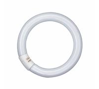 OSRAM G10q 22W 865 Lumilux T9C anillo fluorescente EC:EPREL:546413