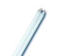 Osram Tubo fluorescente T8 Lumilux 30W 865 90 cm G13