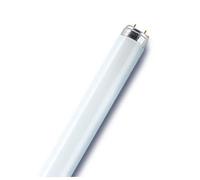 Osram l58840 Tubo Fluorescente, Vidrio, Blanco Frío, G13, 58 W