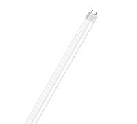 Osram Lamps - Bombilla LED, color blanco frío, 120cm (Paquete de 8)