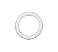 Osram Leuchtstofflampe T9 L 40W 840 C 4000K G10q 4050300014845