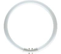 Osram LUMILUX T5 - Lámpara fluorescente, 2Gx13 FC 40 W/830