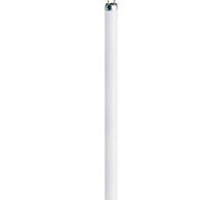 Osram lumilux t5 - Lámpara fluorescente l 13w/840 flh1