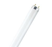Osram Lámparas fluorescentes Lumilux T8 G13 36 W (830) luz blanca cálida — 10 unidades