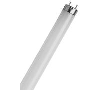 Osram lumilux t8 - Lámpara lumilux l 30w/840 flh1