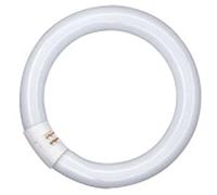 Osram Lumilux T9 Tubo Fluorescente GR10q, 22 W, Blanco (Cool White), 21.6 cm