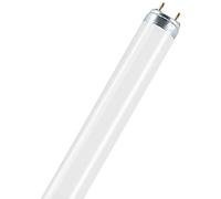 Osram Natura T8 - Lámpara fluorescente, G13L 15 W/76