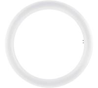 OSRAM Tubo Circular Led, 20 W, Blanco