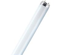Osram. Tubo fluorescente T8 18w 865 G13. 598 X 26mm.