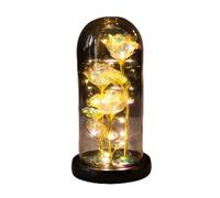 ougiver Rosa de galaxia encantada personalizada en cúpula de cristal, luces LED coloridas en la cúpula de cristal, regalos de rosa de Navidad para ella, para Navidad, día de San Valentín, aniversario