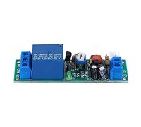Oumefar Módulo de relé Temporizador de Retardo, Temporización Ajustable de 0,2 S a 100 S, Ideal para Proyectos de Automatización, 12 V CC, 1 Unidad